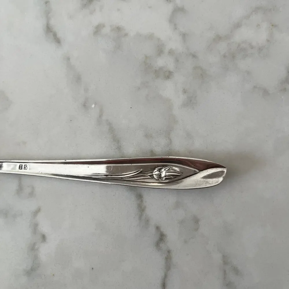 Silver Tulip silver tulip